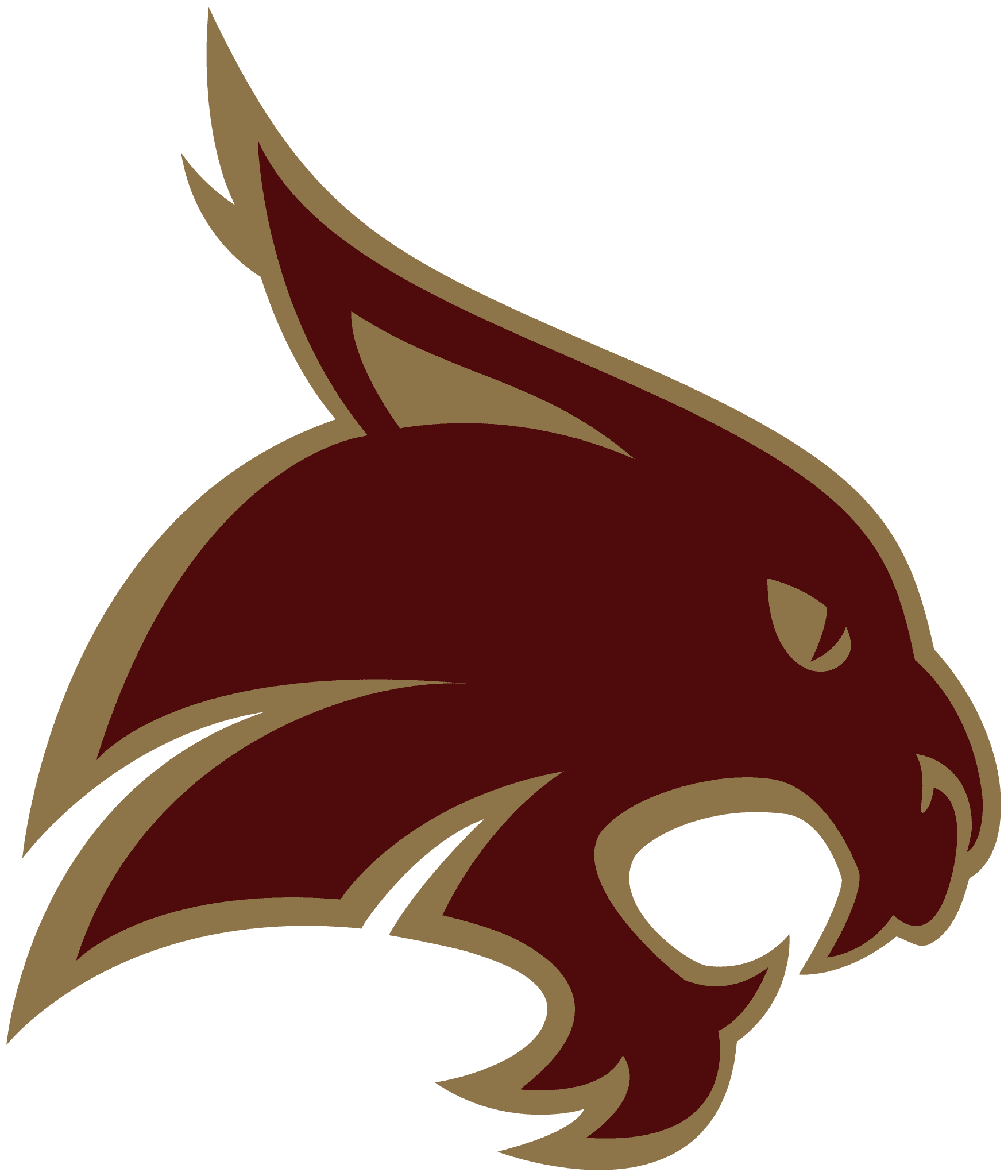 Texas State Logo