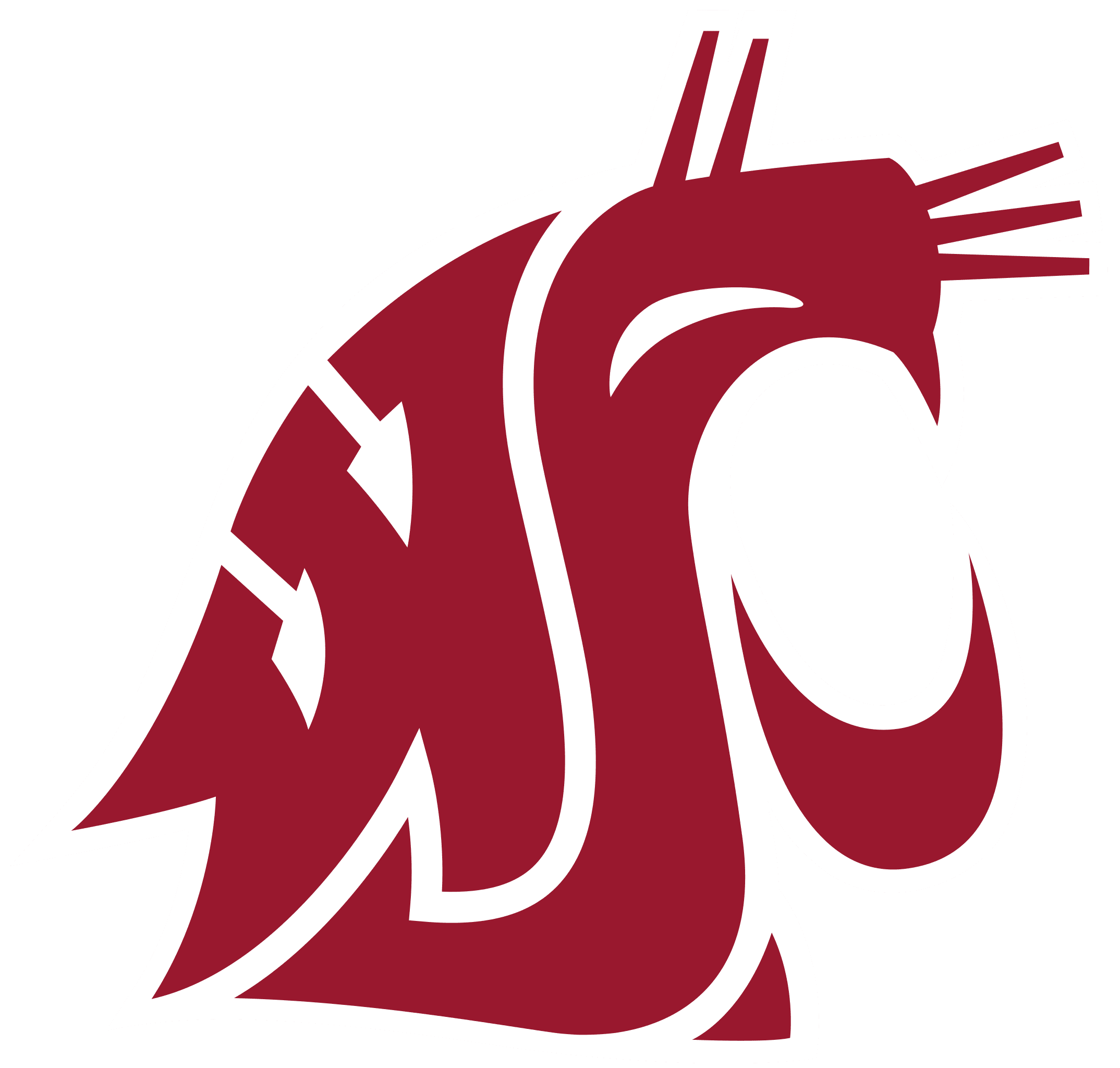 Washington State Logo